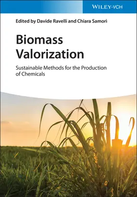Ravelli / Samori / Samorì |  Biomass Valorization | Buch |  Sack Fachmedien