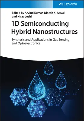 Kumar / Aswal / Joshi |  1D Semiconducting Hybrid Nanostructures | Buch |  Sack Fachmedien