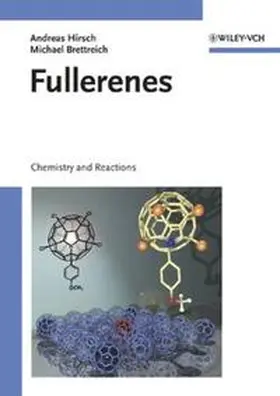 Hirsch / Brettreich |  Fullerenes | eBook | Sack Fachmedien