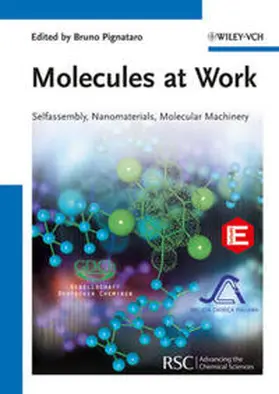 Pignataro |  Molecules at Work | eBook | Sack Fachmedien