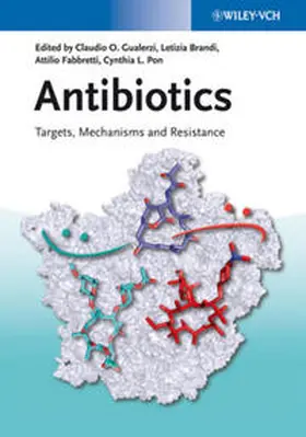 Gualerzi / Brandi / Fabbretti |  Antibiotics | eBook | Sack Fachmedien