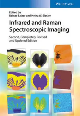 Salzer / Siesler |  Infrared and Raman Spectroscopic Imaging | eBook | Sack Fachmedien