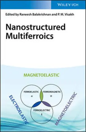 Balakrishnan / Visakh |  Nanostructured Multiferroics | eBook | Sack Fachmedien