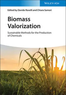 Ravelli / Samorì / Samori |  Biomass Valorization | eBook | Sack Fachmedien