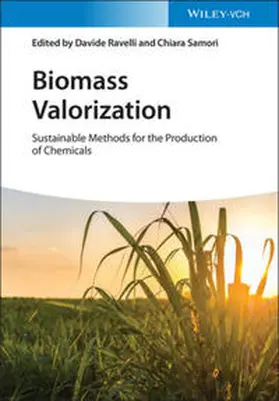 Ravelli / Samorì / Samori |  Biomass Valorization | eBook | Sack Fachmedien