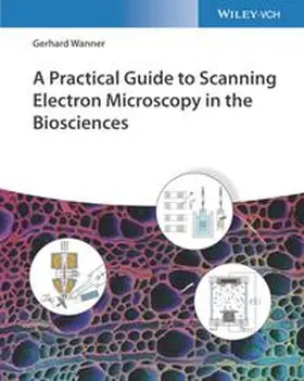 Wanner |  A Practical Guide to Scanning Electron Microscopy in the Biosciences | eBook | Sack Fachmedien