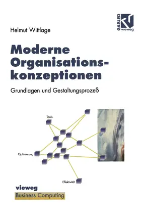 Wittlage |  Moderne Organisationskonzeptionen | Buch |  Sack Fachmedien