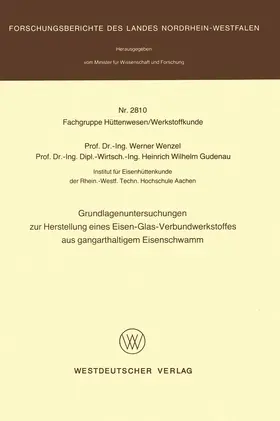 Wenzel |  Grundlagenuntersuchungen zur Herstellung eines Eisen-Glas-Verbundwerkstoffes aus gangarthaltigem Eisenschwamm | Buch |  Sack Fachmedien