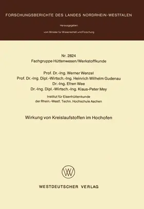 Wenzel |  Wirkung von Kreislaufstoffen im Hochofen | Buch |  Sack Fachmedien