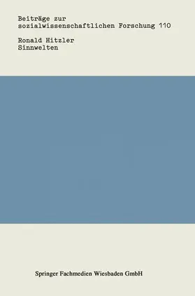 Hitzler |  Sinnwelten | Buch |  Sack Fachmedien