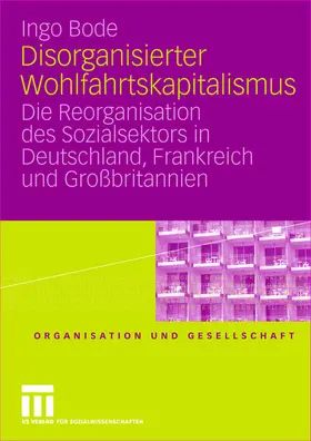 Bode |  Disorganisierter Wohlfahrtskapitalismus | Buch |  Sack Fachmedien