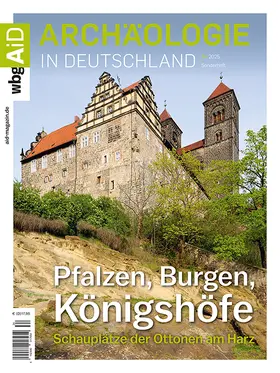 Biermann / Meller |  Pfalzen, Burgen, Königshöfe | Buch |  Sack Fachmedien