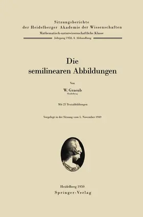 Graeub |  Die semilinearen Abbildungen | Buch |  Sack Fachmedien