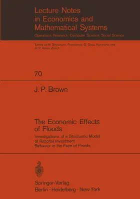 Brown |  The Economic Effects of Floods | Buch |  Sack Fachmedien