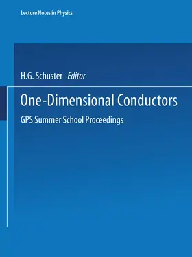 Schuster |  One-Dimensional Conductors | Buch |  Sack Fachmedien