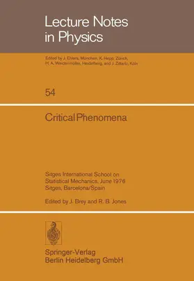 Brey / Jones |  Critical Phenomena | Buch |  Sack Fachmedien