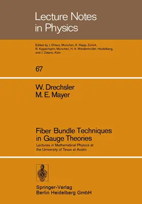 Drechsler / Böhm / Mayer |  Fiber Bundle Techniques in Gauge Theories | Buch |  Sack Fachmedien