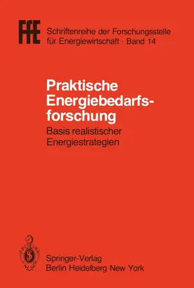 Schaefer |  Praktische Energiebedarfsforschung | Buch |  Sack Fachmedien
