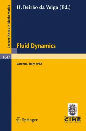 Beirao da Veiga |  Fluid Dynamics | Buch |  Sack Fachmedien