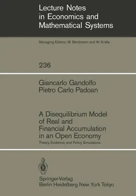 Gandolfo / Padoan |  A Disequilibrium Model of Real and Financial Accumulation in an Open Economy | Buch |  Sack Fachmedien