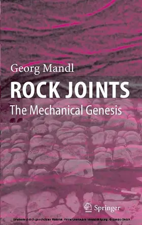 Mandl |  Rock Joints | eBook | Sack Fachmedien