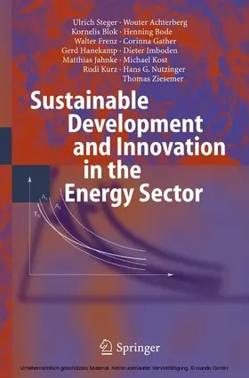 Steger / Achterberg / Kost |  Sustainable Development and Innovation in the Energy Sector | eBook | Sack Fachmedien