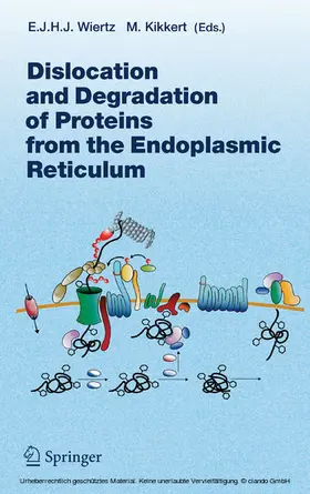 Wiertz / Kikkert | Dislocation and Degradation of Proteins from the Endoplasmic Reticulum | E-Book | sack.de