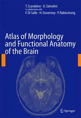 Scarabino / Salvolini | Atlas of Morphology and Functional Anatomy of the Brain | Buch | 978-3-540-29628-7 | sack.de