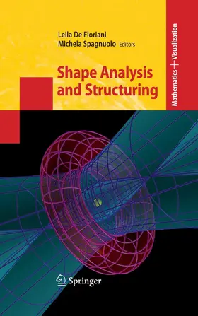 de Floriani / Floriani / Spagnuolo |  Shape Analysis and Structuring | eBook | Sack Fachmedien