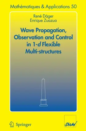 Dáger / Zuazua | Wave Propagation, Observation and Control in 1-d Flexible Multi-Structures | E-Book | sack.de