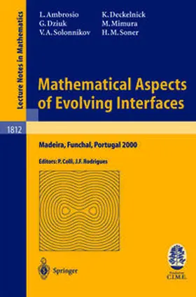 Ambrosio / Colli / Deckelnick |  Mathematical Aspects of Evolving Interfaces | eBook | Sack Fachmedien