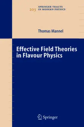 Mannel |  Effective Field Theories in Flavour Physics | eBook | Sack Fachmedien