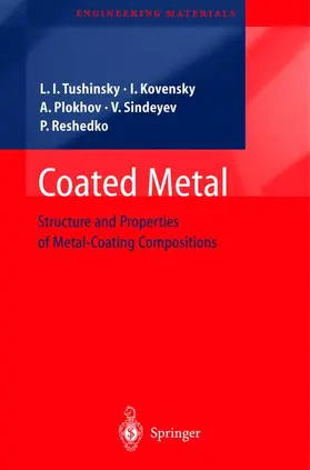 Tushinsky / Kovensky / Plokhov |  Coated Metal | Buch |  Sack Fachmedien