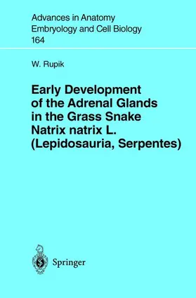 Rupik |  Early Development of the Adrenal Glands in the Grass Snake Natrix natrix L. (Lepidosauria, Serpentes) | Buch |  Sack Fachmedien