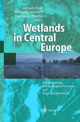 Broll / Pfeiffer / Merbach |  Wetlands in Central Europe | Buch |  Sack Fachmedien