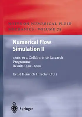 Hirschel |  Numerical Flow Simulation II | eBook | Sack Fachmedien