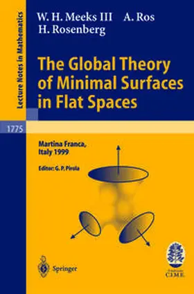 Meeks / Pirola / Ros | The Global Theory of Minimal Surfaces in Flat Spaces | E-Book | sack.de
