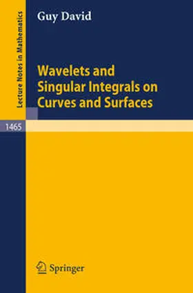 David | Wavelets and Singular Integrals on Curves and Surfaces | E-Book | sack.de