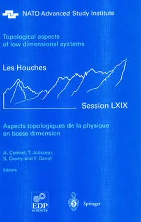 Comtet / Jolicoeur / Ouvry | Aspects topologiques de la physique en basse dimension. Topological aspects of low dimensional systems | E-Book | sack.de