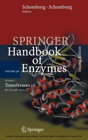 Schomburg / Chang |  Class 2 . Transferases IX | eBook | Sack Fachmedien