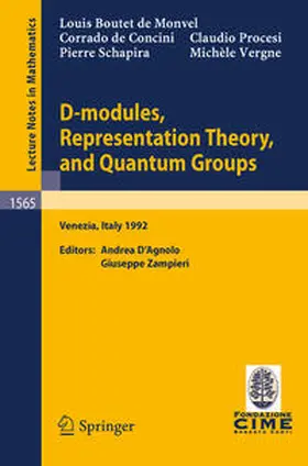 Boutet de Monvel / Zampieri / Concini |  D-modules, Representation Theory, and Quantum Groups | eBook | Sack Fachmedien