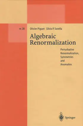 Piguet / Sorella |  Algebraic Renormalization | eBook | Sack Fachmedien