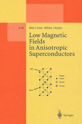 Greer / Kossler |  Low Magnetic Fields in Anisotropic Superconductors | eBook | Sack Fachmedien