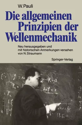 Pauli / Straumann |  Die allgemeinen Prinzipien der Wellenmechanik | Buch |  Sack Fachmedien