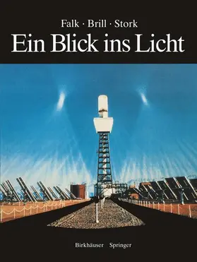 Falk / Stork / Brill |  Ein Blick ins Licht | Buch |  Sack Fachmedien