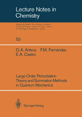 Arteca / Castro / Fernandez |  Large Order Perturbation Theory and Summation Methods in Quantum Mechanics | Buch |  Sack Fachmedien