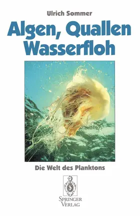 Sommer |  Algen, Quallen, Wasserfloh | Buch |  Sack Fachmedien