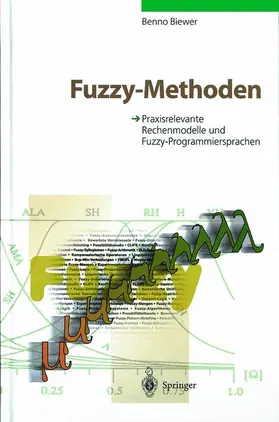 Biewer | Fuzzy-Methoden | Buch | 978-3-540-61943-7 | www2.sack.de