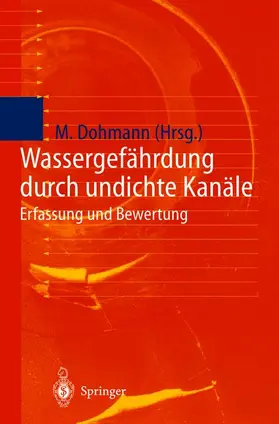 Dohmann |  Wassergefährdung durch undichte Kanäle | Buch |  Sack Fachmedien