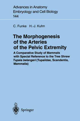 Funke / Kuhn |  The Morphogenesis of the Arteries of the Pelvic Extremity | Buch |  Sack Fachmedien